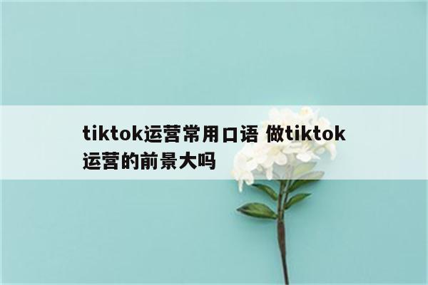 tiktok运营常用口语 做tiktok运营的前景大吗