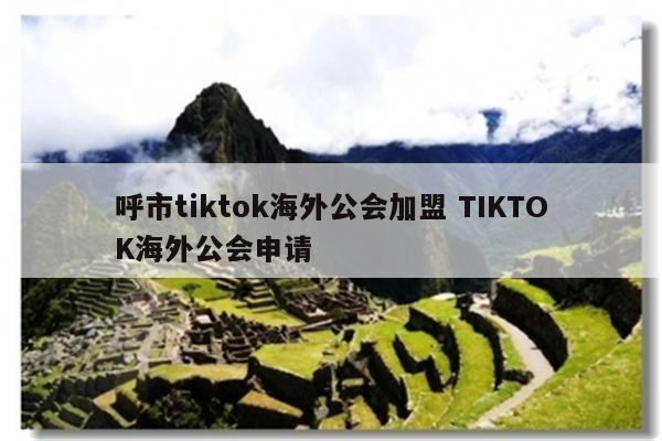 呼市tiktok海外公会加盟 TIKTOK海外公会申请