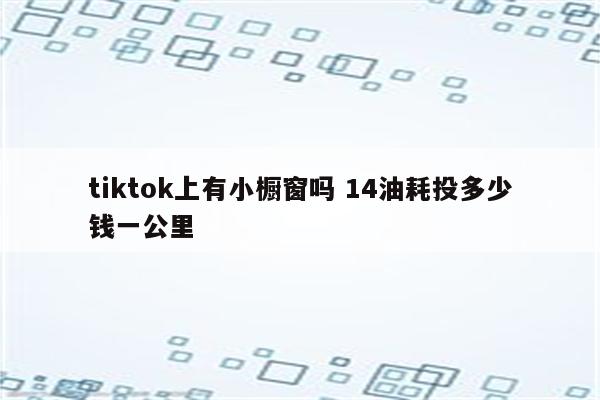 tiktok上有小橱窗吗 14油耗投多少钱一公里