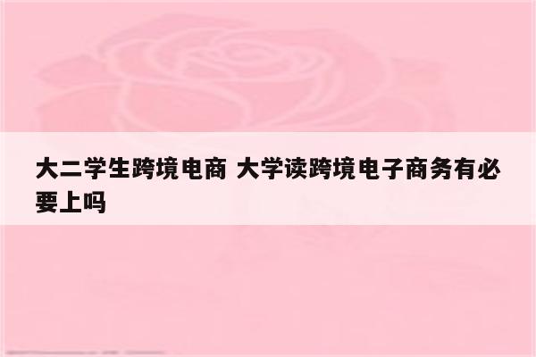 大二学生跨境电商 大学读跨境电子商务有必要上吗