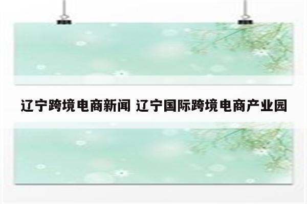 辽宁跨境电商新闻 辽宁国际跨境电商产业园
