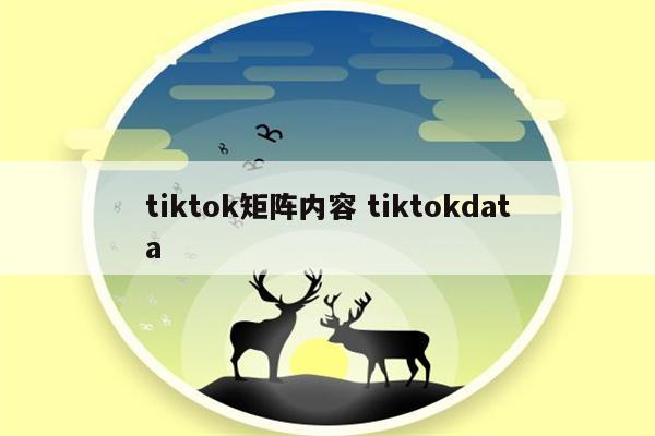 tiktok矩阵内容 tiktokdata