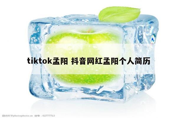 tiktok孟阳 抖音网红孟阳个人简历