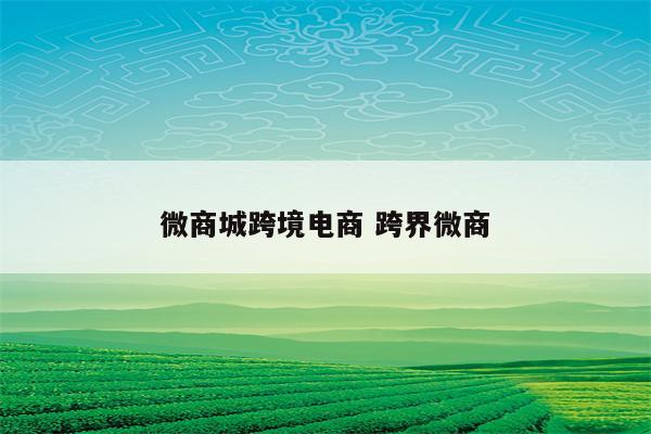 微商城跨境电商 跨界微商