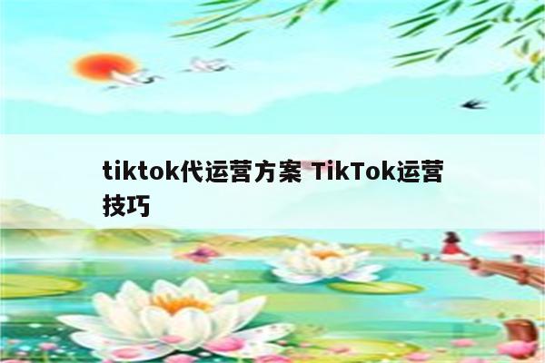 tiktok代运营方案 TikTok运营技巧