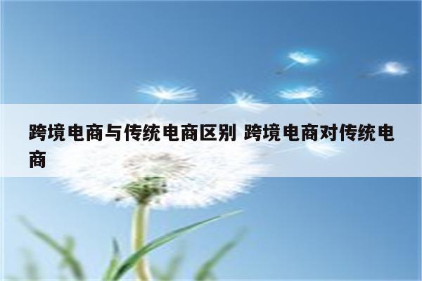 跨境电商与传统电商区别 跨境电商对传统电商