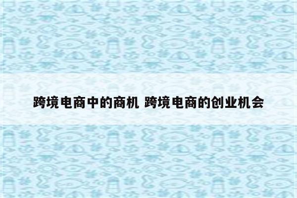 跨境电商中的商机 跨境电商的创业机会