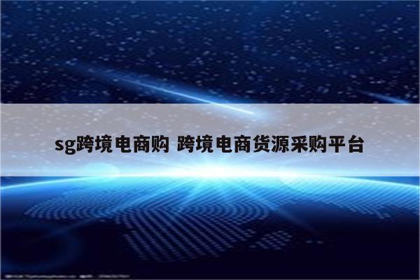 sg跨境电商购 跨境电商货源采购平台