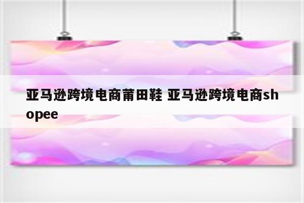 亚马逊跨境电商莆田鞋 亚马逊跨境电商shopee