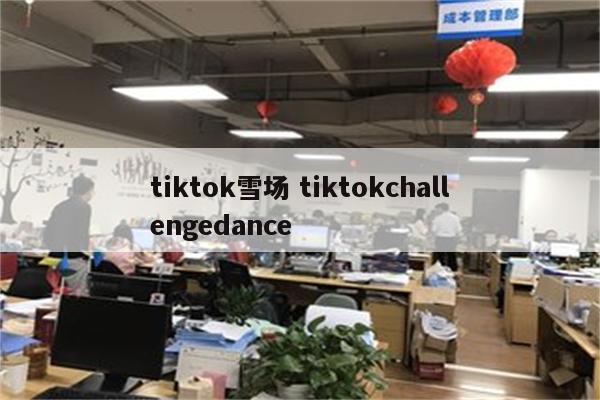 tiktok雪场 tiktokchallengedance