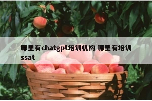 哪里有chatgpt培训机构 哪里有培训ssat
