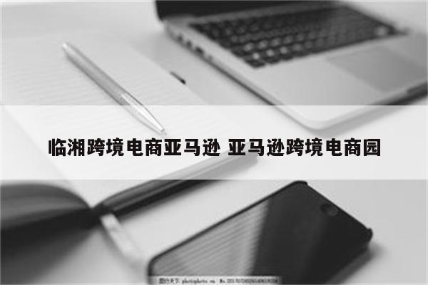 临湘跨境电商亚马逊 亚马逊跨境电商园