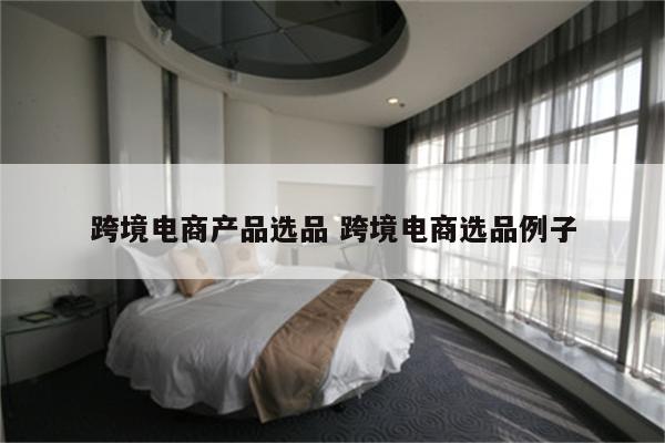 跨境电商产品选品 跨境电商选品例子