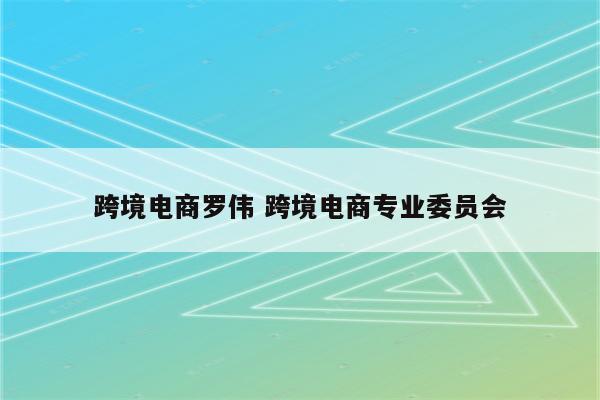 跨境电商罗伟 跨境电商专业委员会