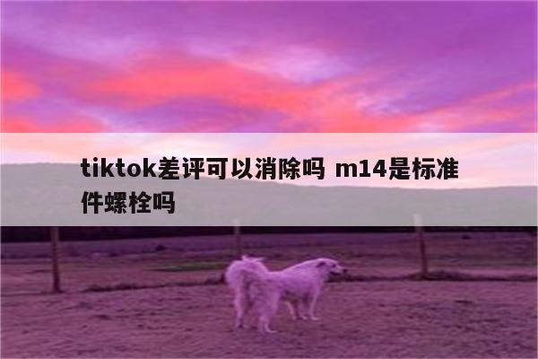 tiktok差评可以消除吗 m14是标准件螺栓吗