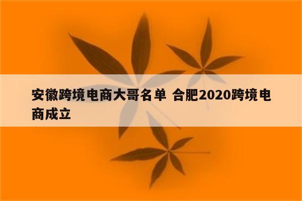 安徽跨境电商大哥名单 合肥2020跨境电商成立