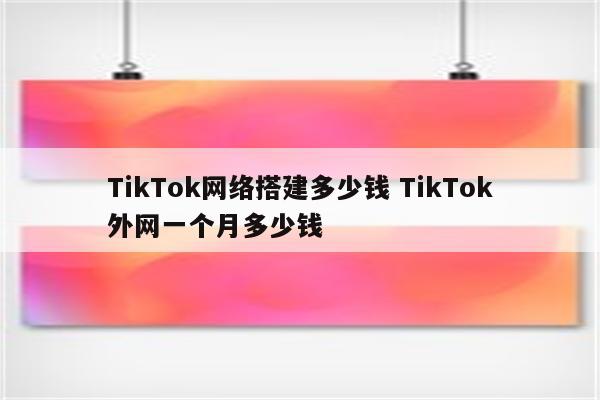 TikTok网络搭建多少钱 TikTok外网一个月多少钱