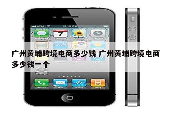 广州黄埔跨境电商多少钱 广州黄埔跨境电商多少钱一个