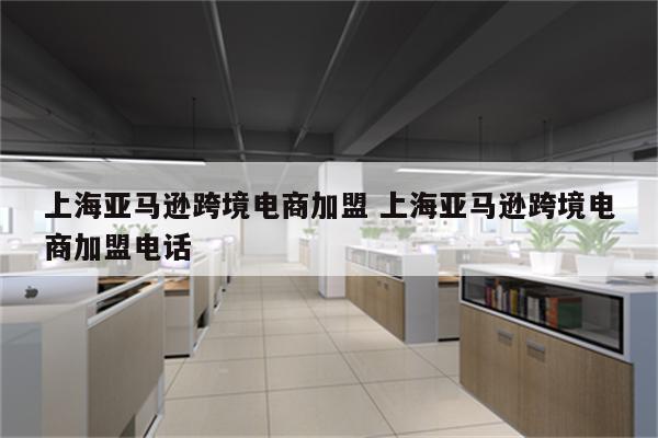 上海亚马逊跨境电商加盟 上海亚马逊跨境电商加盟电话