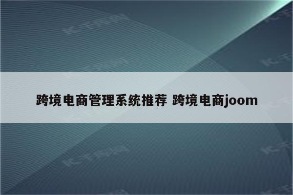 跨境电商管理系统推荐 跨境电商joom