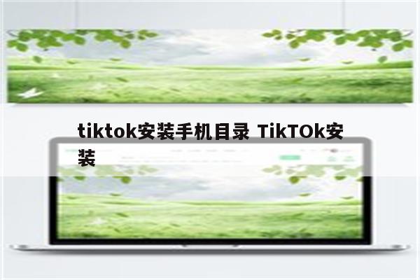 tiktok安装手机目录 TikTOk安装