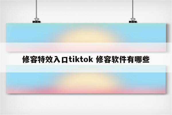 修容特效入口tiktok 修容软件有哪些