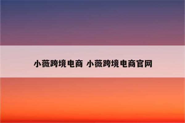 小薇跨境电商 小薇跨境电商官网