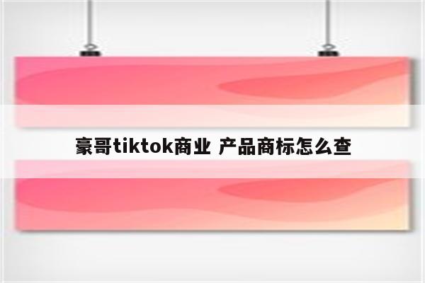 豪哥tiktok商业 产品商标怎么查