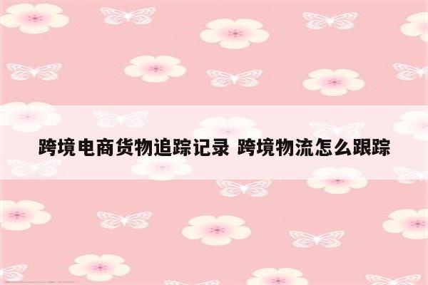 跨境电商货物追踪记录 跨境物流怎么跟踪