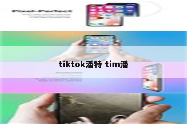 tiktok潘特 tim潘