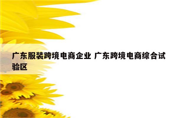 广东服装跨境电商企业 广东跨境电商综合试验区