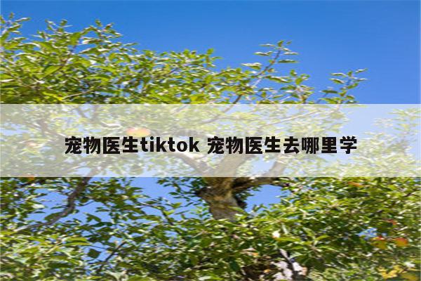 宠物医生tiktok 宠物医生去哪里学