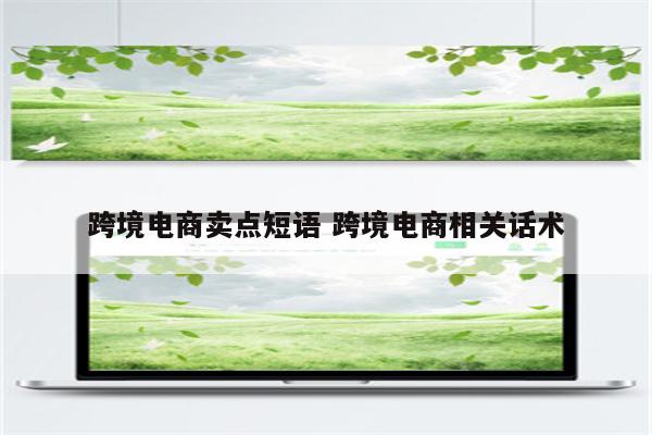 跨境电商卖点短语 跨境电商相关话术