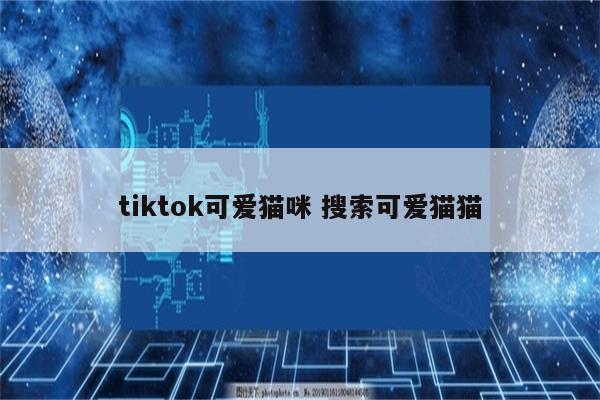 tiktok可爱猫咪 搜索可爱猫猫