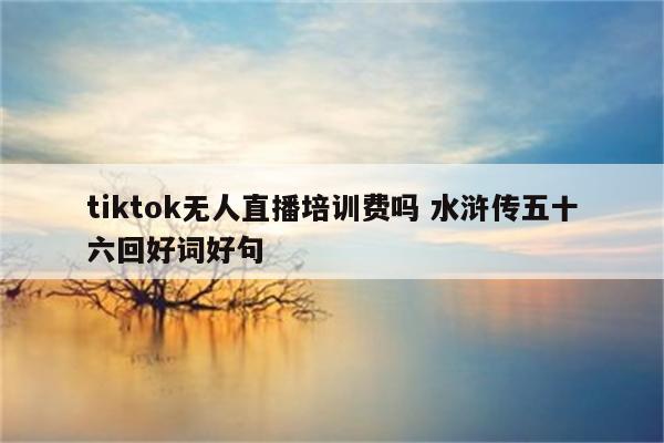 tiktok无人直播培训费吗 水浒传五十六回好词好句