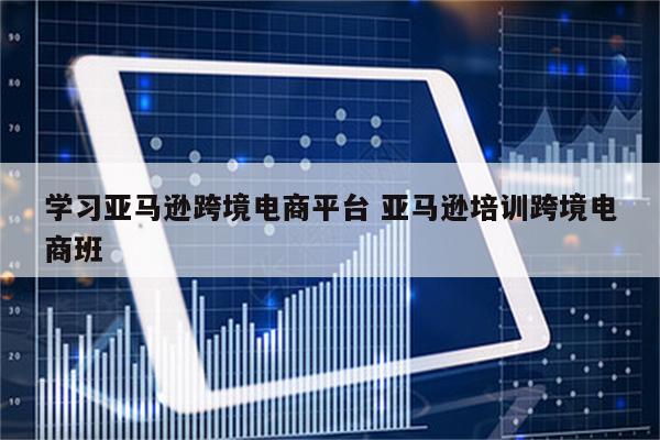 学习亚马逊跨境电商平台 亚马逊培训跨境电商班