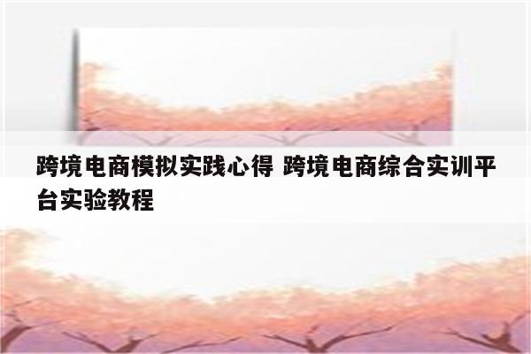 跨境电商模拟实践心得 跨境电商综合实训平台实验教程