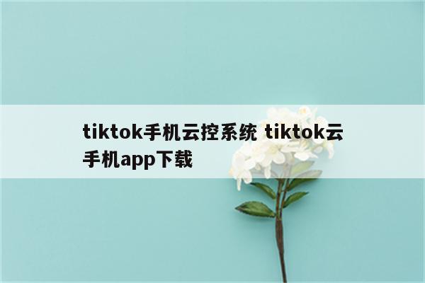 tiktok手机云控系统 tiktok云手机app下载
