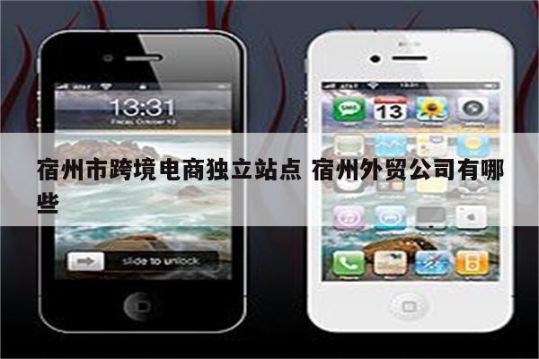 宿州市跨境电商独立站点 宿州外贸公司有哪些