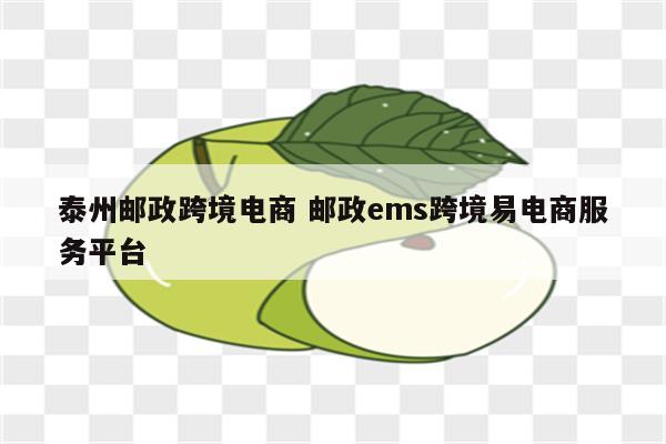泰州邮政跨境电商 邮政ems跨境易电商服务平台