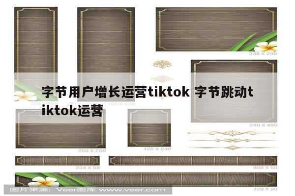字节用户增长运营tiktok 字节跳动tiktok运营