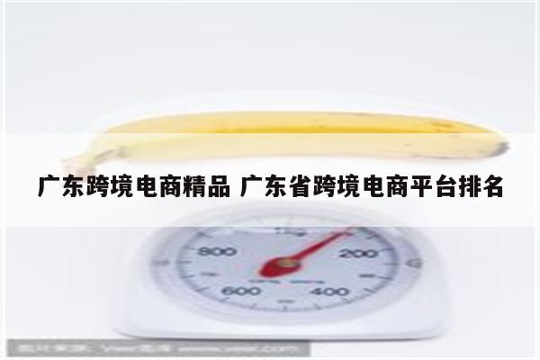 广东跨境电商精品 广东省跨境电商平台排名