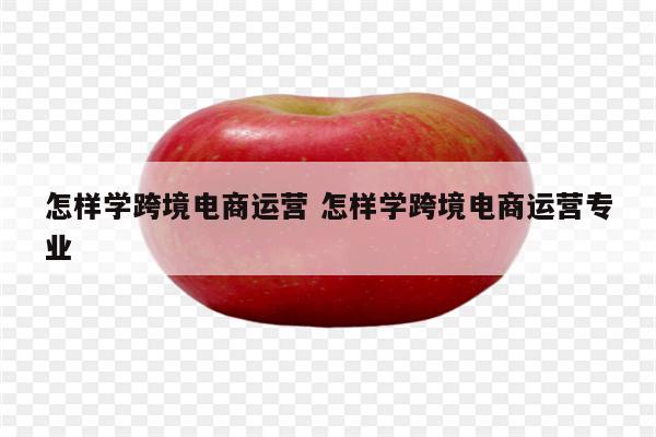 怎样学跨境电商运营 怎样学跨境电商运营专业