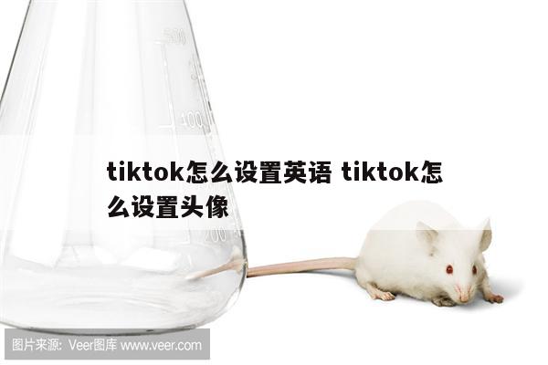 tiktok怎么设置英语 tiktok怎么设置头像