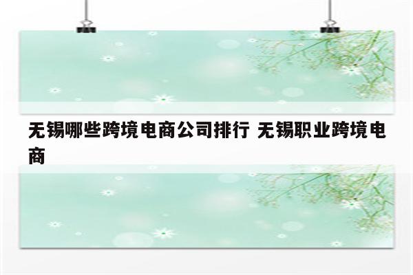 无锡哪些跨境电商公司排行 无锡职业跨境电商
