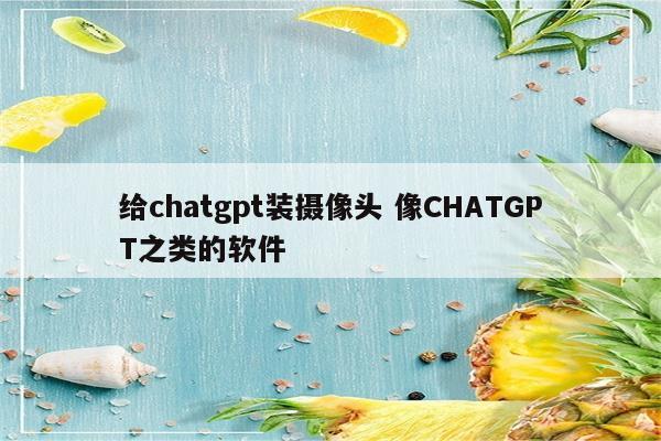 给chatgpt装摄像头 像CHATGPT之类的软件