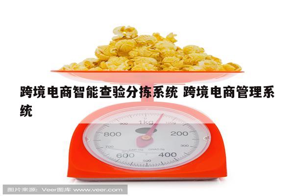跨境电商智能查验分拣系统 跨境电商管理系统