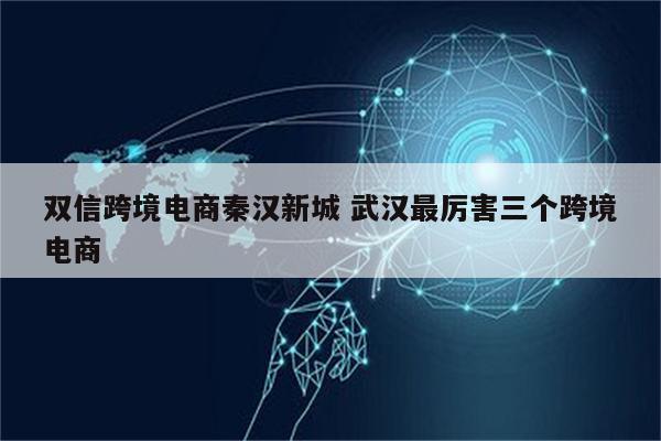 双信跨境电商秦汉新城 武汉最厉害三个跨境电商