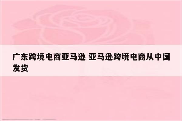 广东跨境电商亚马逊 亚马逊跨境电商从中国发货