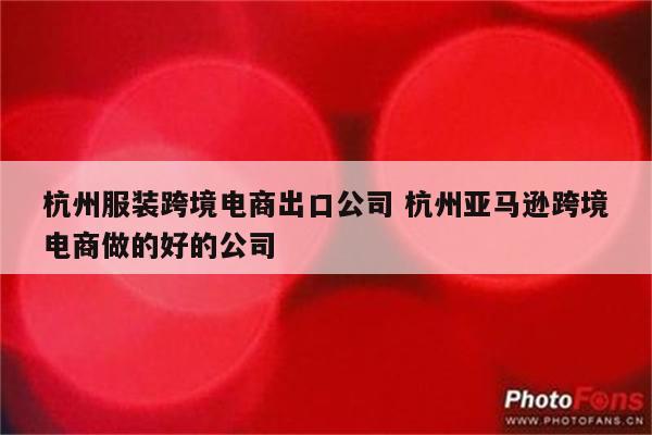 杭州服装跨境电商出口公司 杭州亚马逊跨境电商做的好的公司